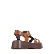 Bario- Brandy