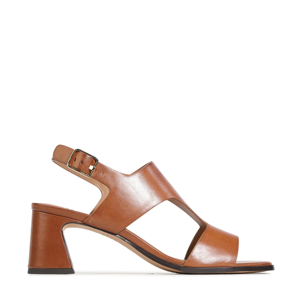 BASIRA-Brandy