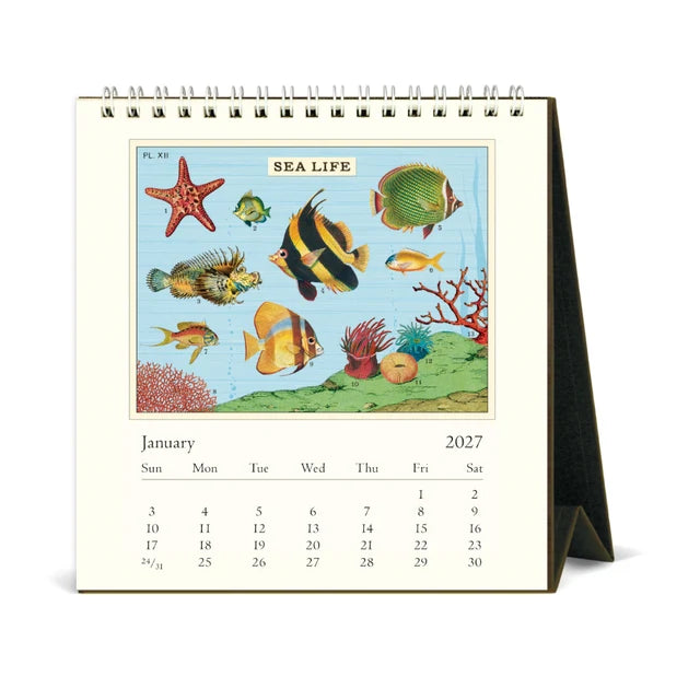 Desk Calendar- Sea Life