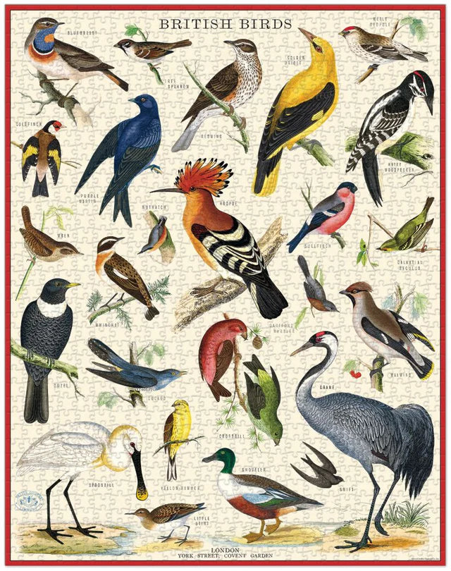 Vintage Puzzle- British Birds
