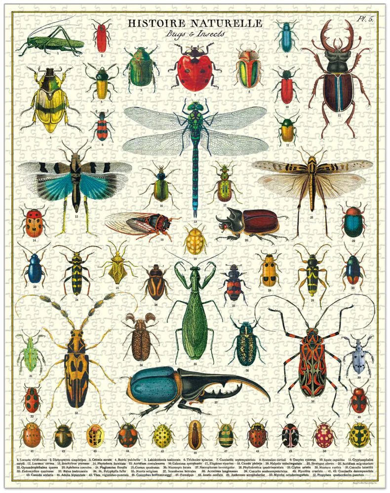 Vintage Puzzle- Bugs & Insects