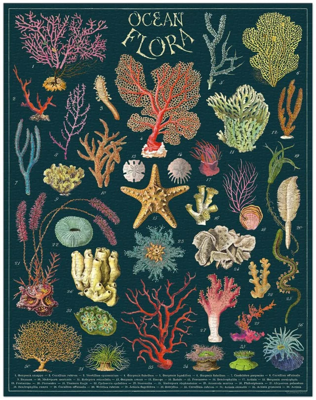 Vintage Puzzle - Ocean Flora