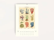 Wall Calendar - Sea Life - Presence Hamilton