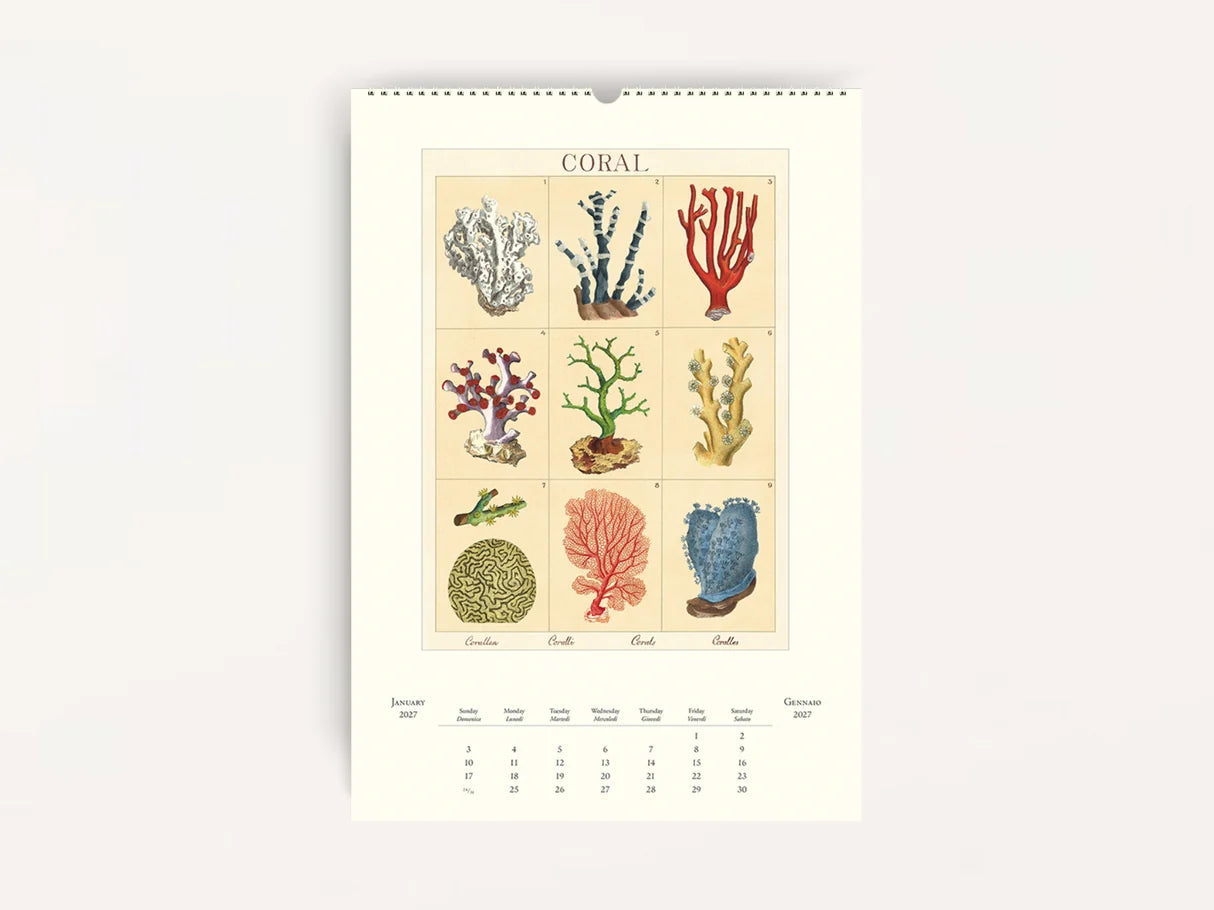 Wall Calendar - Sea Life - Presence Hamilton