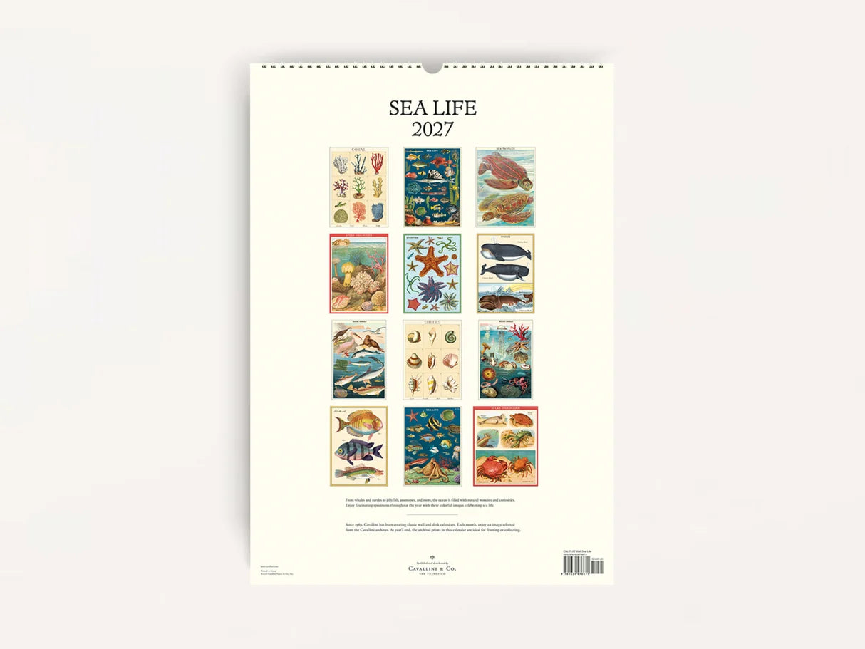 Wall Calendar - Sea Life - Presence Hamilton
