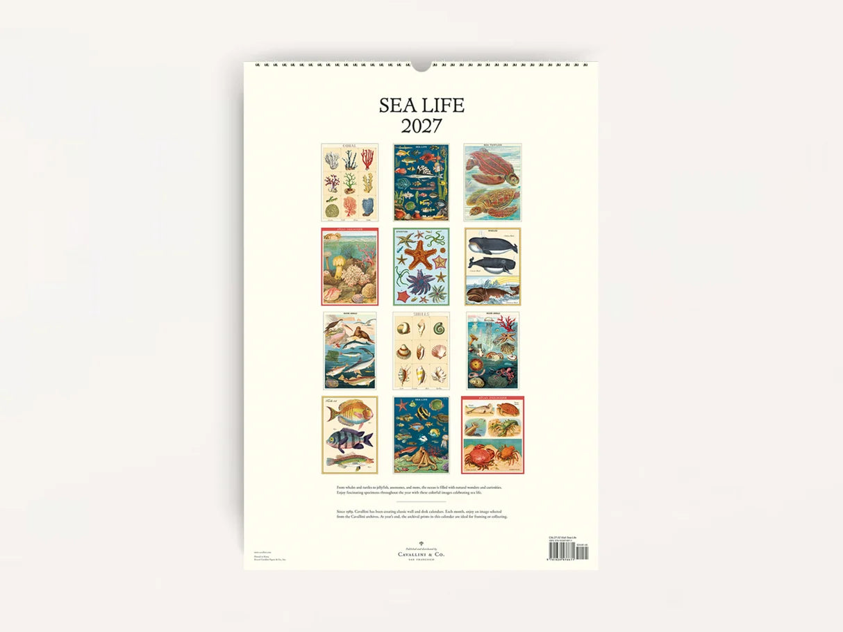 Wall Calendar - Sea Life - Presence Hamilton