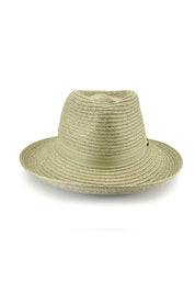 Banksia Fedora