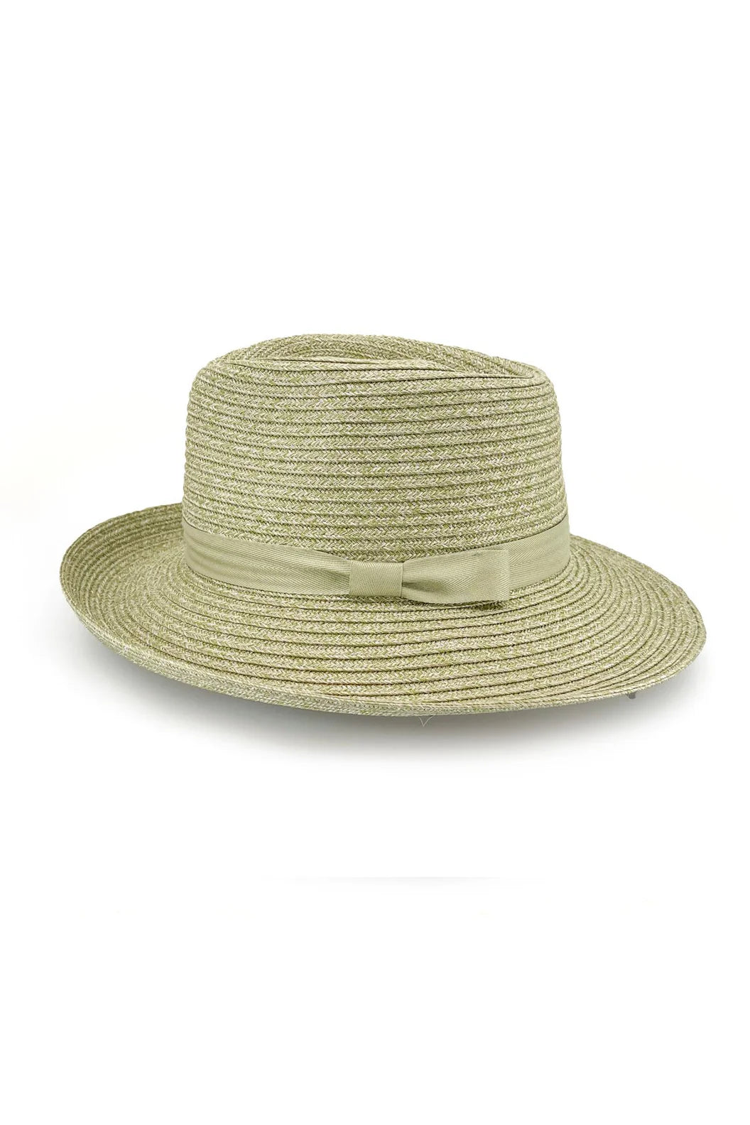 Banksia Fedora
