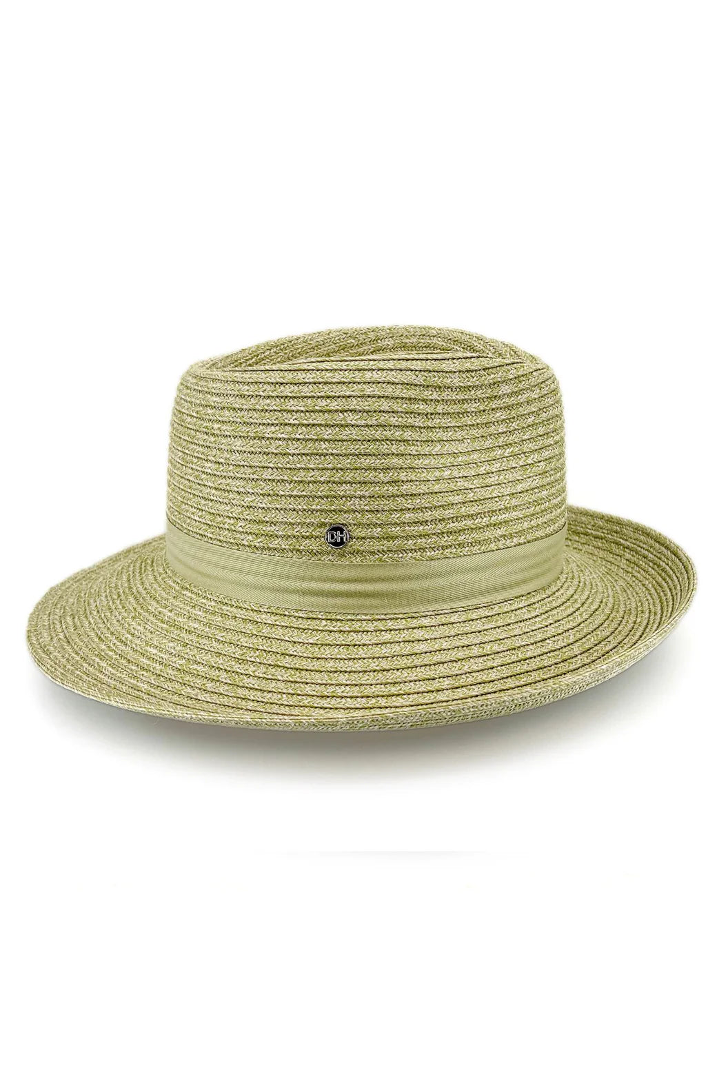 Banksia Fedora