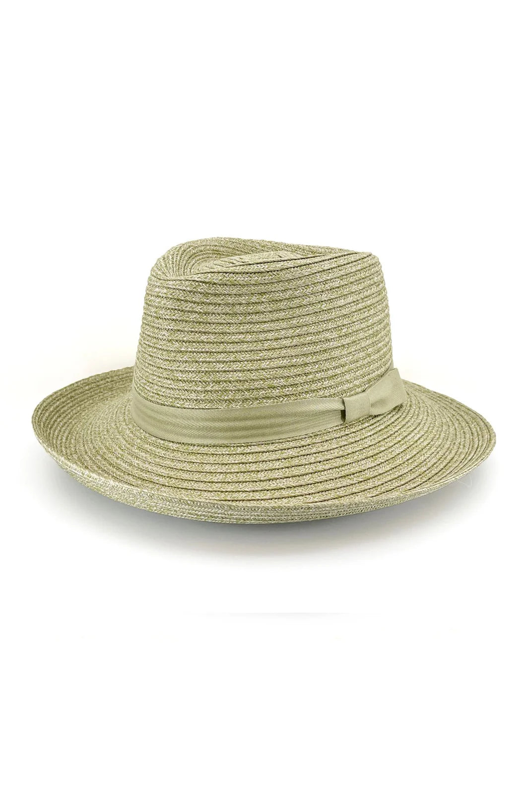 Banksia Fedora