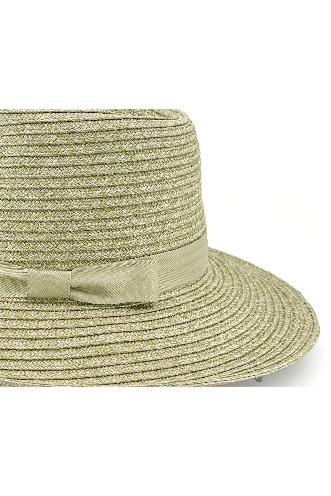 Banksia Fedora