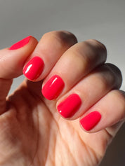 Miss Frankie Polish