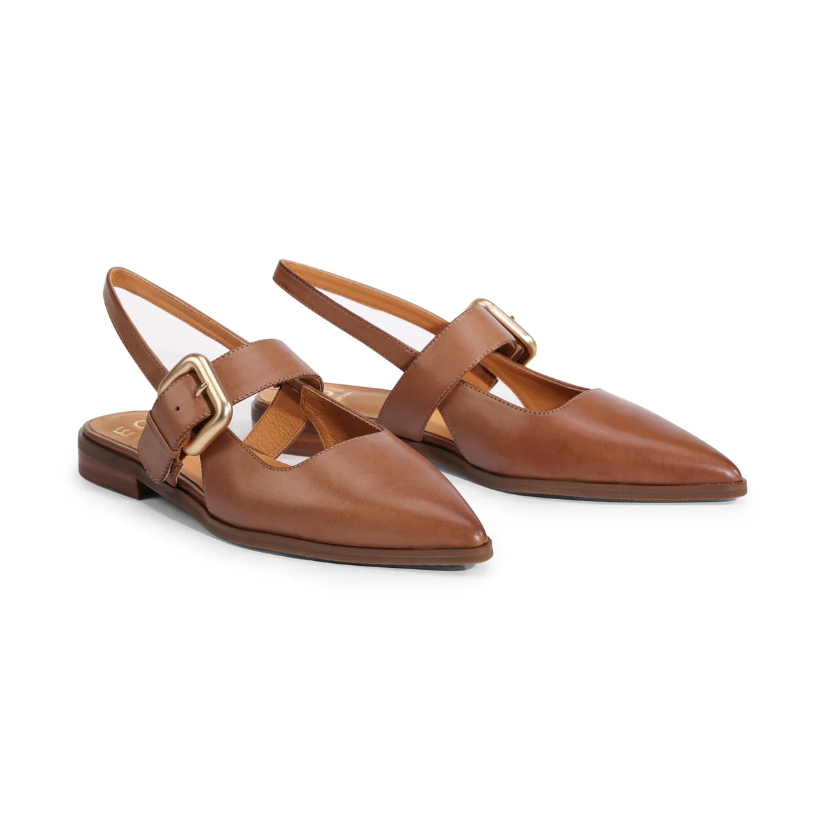 Goldie_pecan_top012.webp