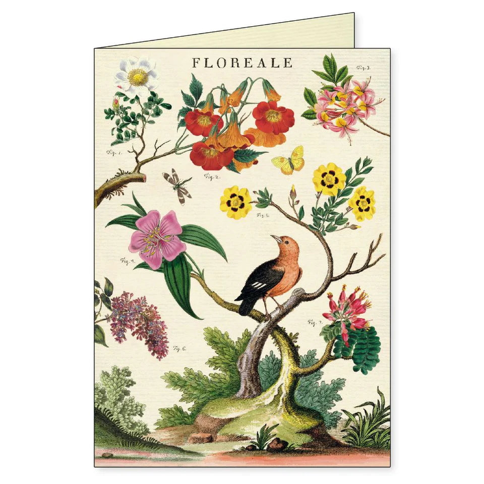 Cavallini Boxed Notecards-Floreale
