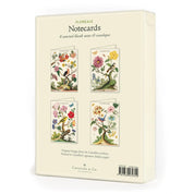 Cavallini Boxed Notecards-Floreale
