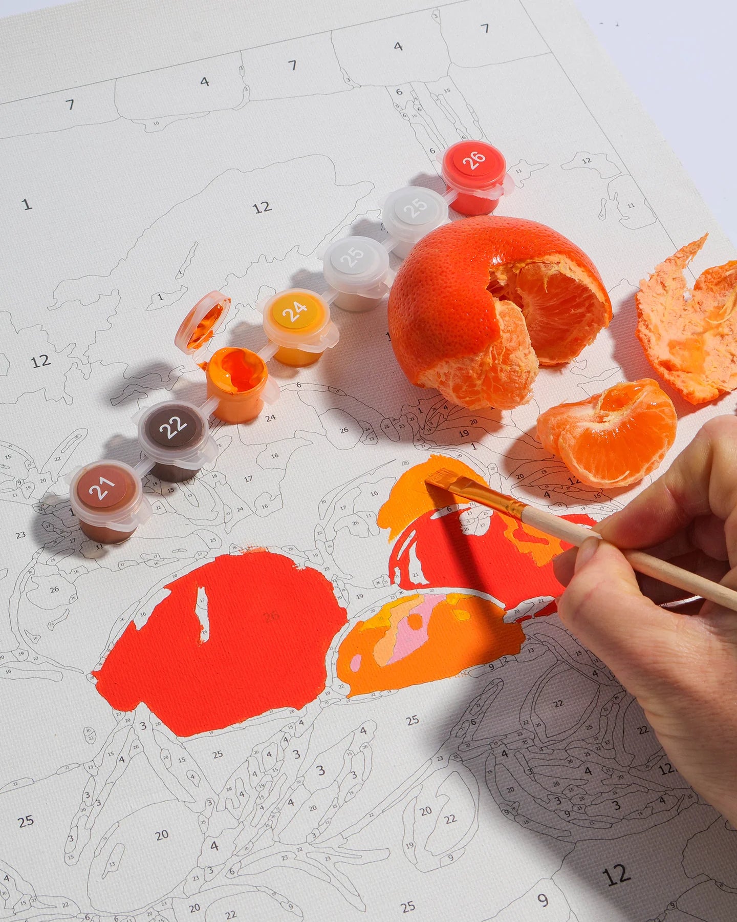 Paint by Numbers - Bowl of Oranges