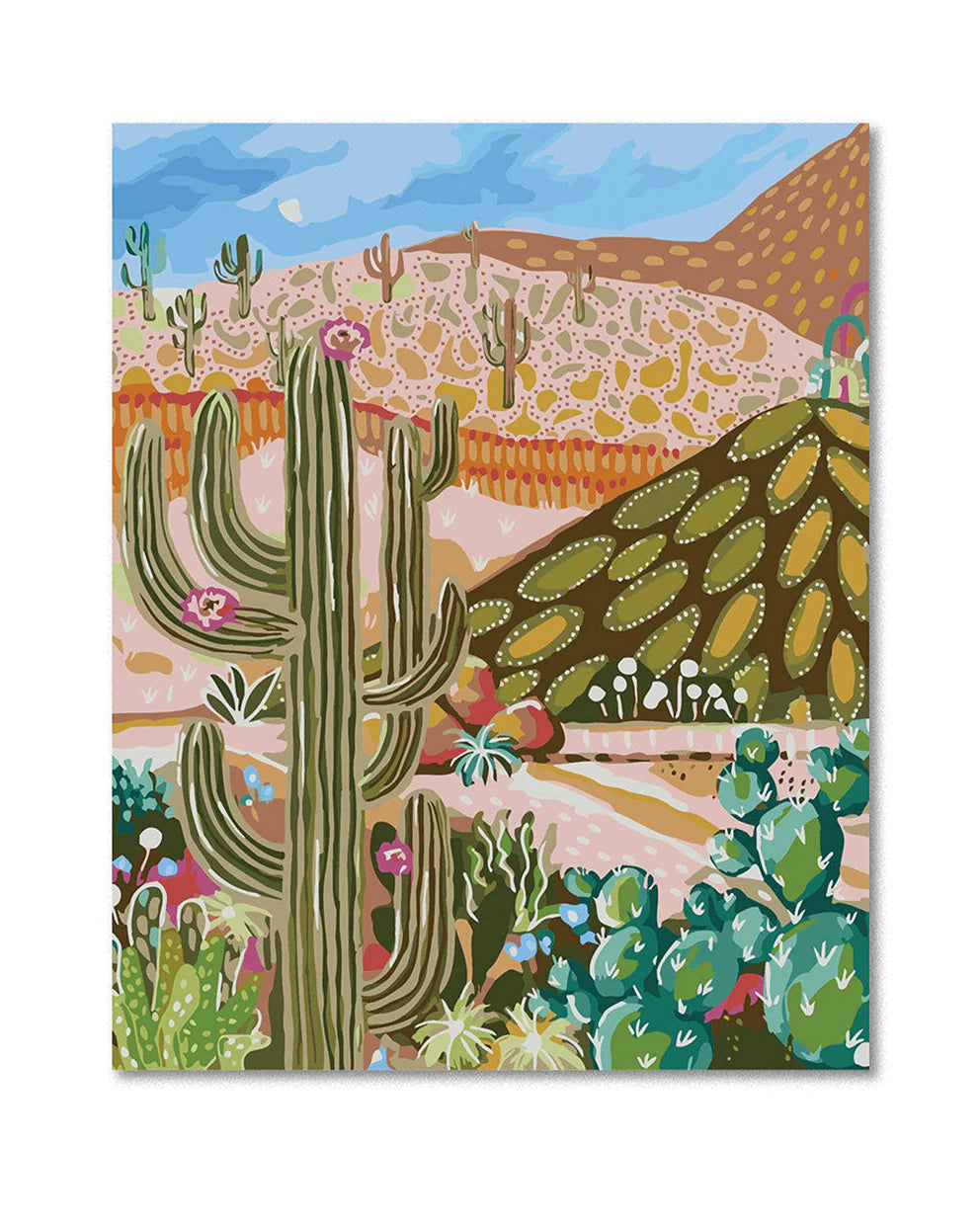 Paint_By_Numbers_Cactus_Valley_1_992x1240_805e781c-c365-44ff-b604-421bb572bd16.webp