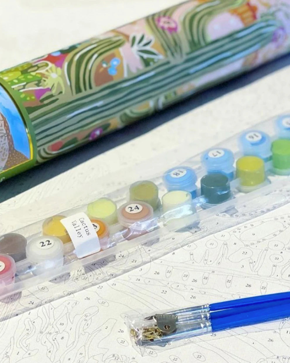 Paint by Numbers - Cactus Valley