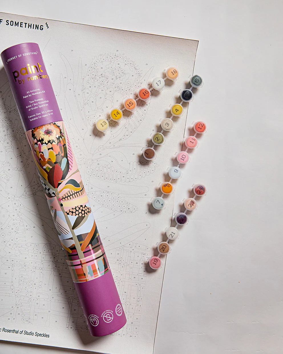 Paint by Numbers - Two Proteas