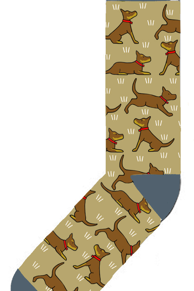 SOCKREDKELPIE.jpg