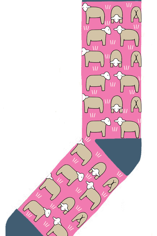 SOCKSHEEPONPINK.jpg