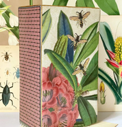 Exotico Vase Rhododendron