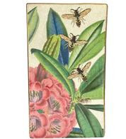 Exotico Vase Rhododendron