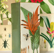 Exotico Vase Heliconia