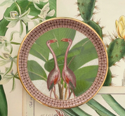 Savon Dish- Flamenco