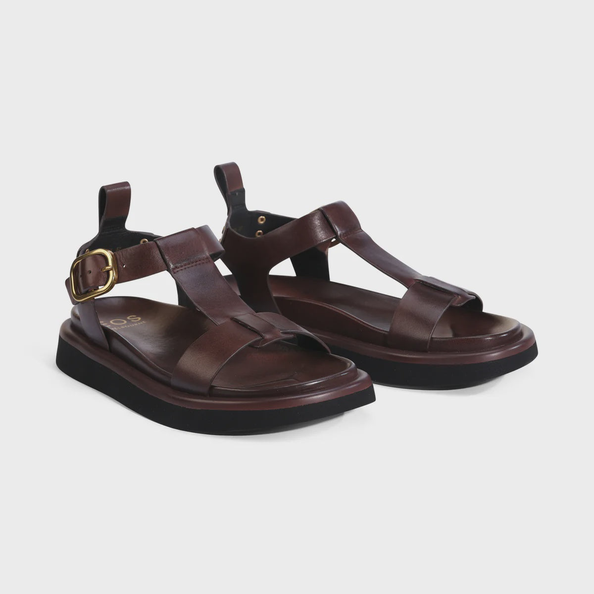 Slays_chestnut_top01.jpg