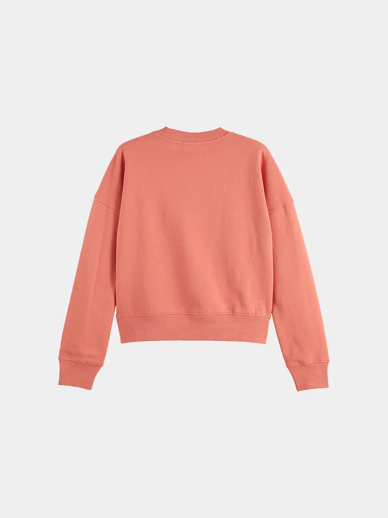 Embroidered Logo Sweatshirt- Canyon Clay