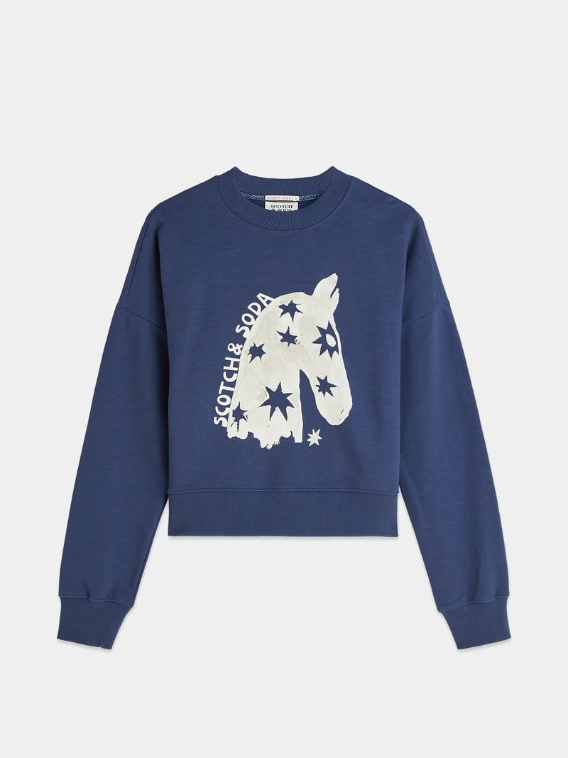 Artwork sweatshirt- Oceana