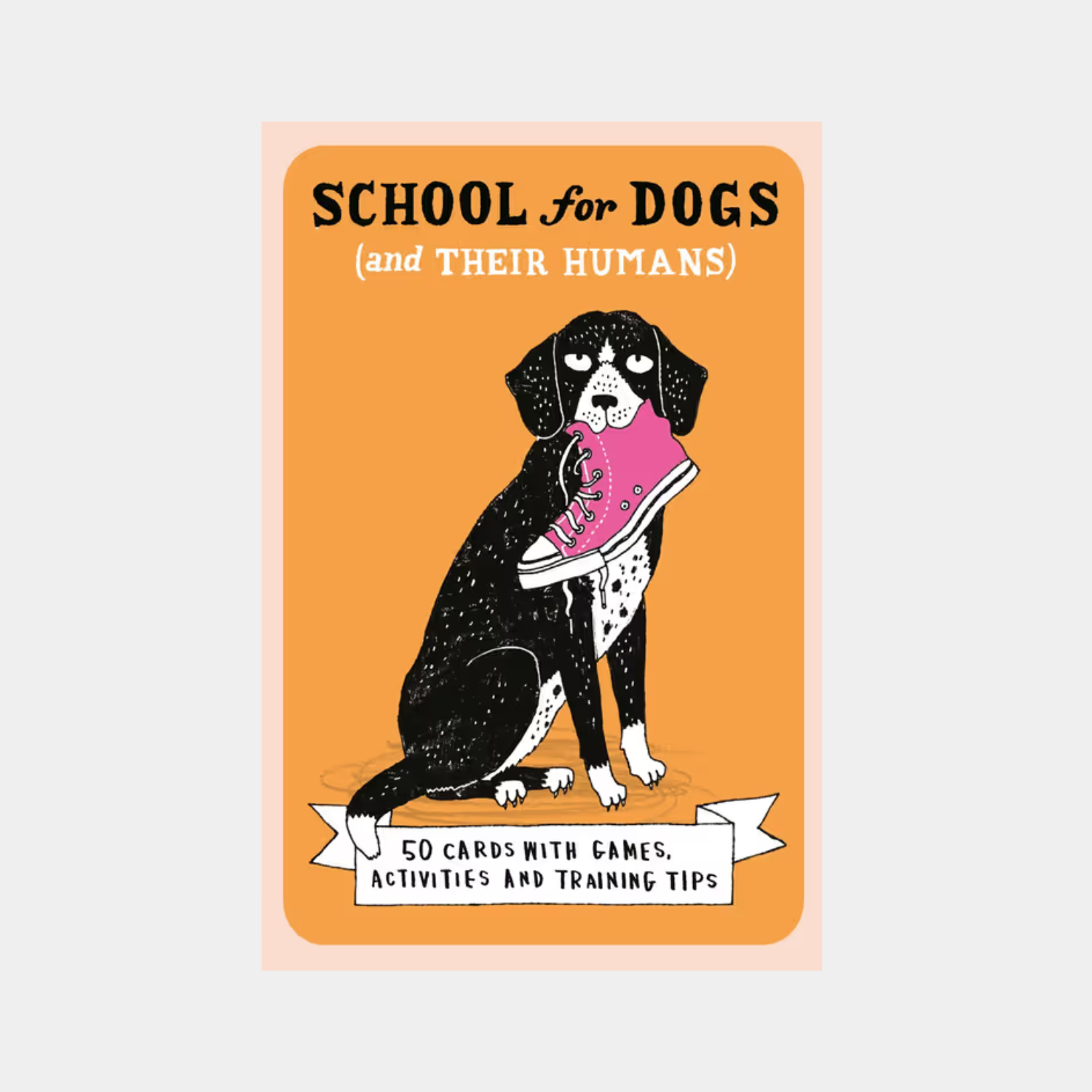 School for Dogs (and Their Humans)