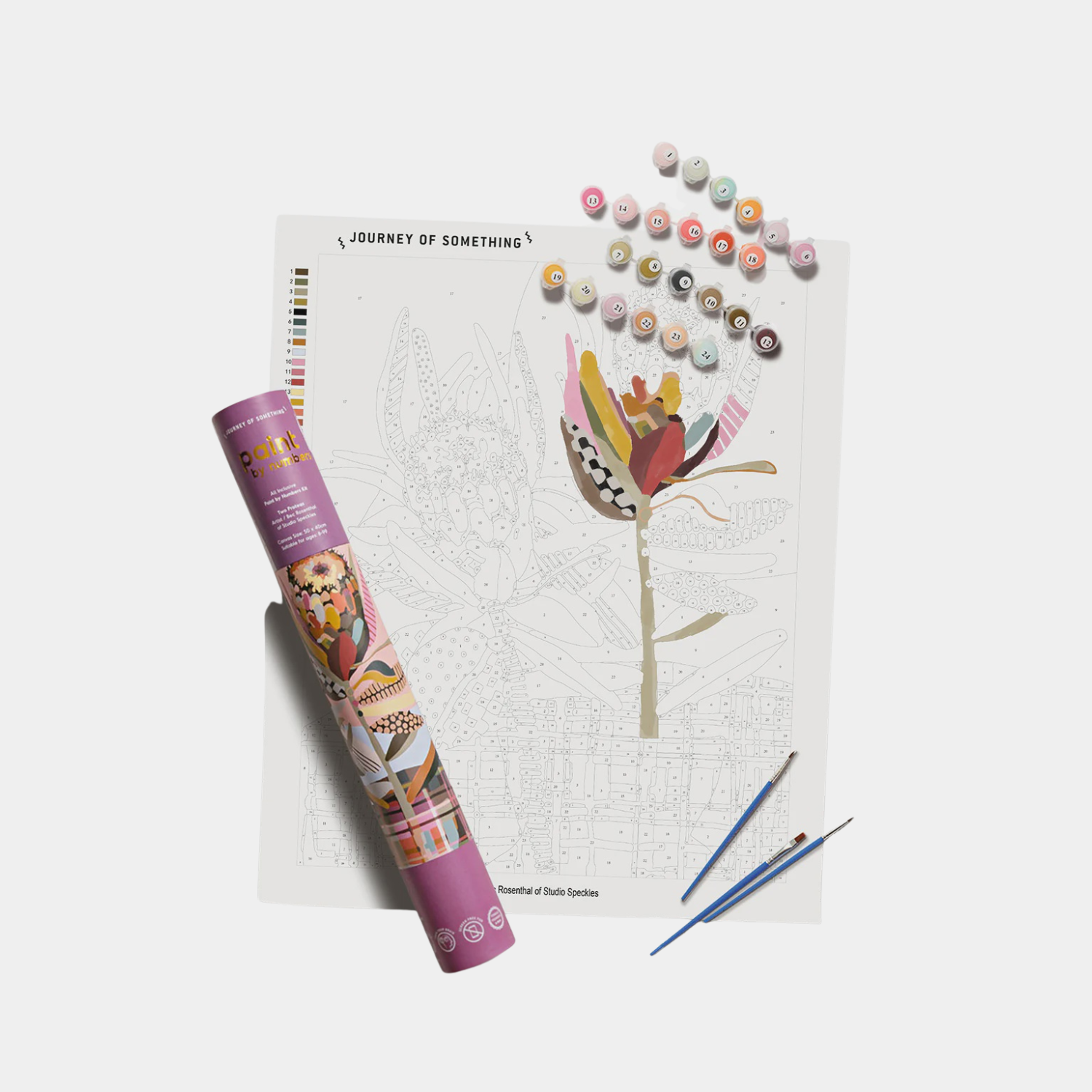 Paint by Numbers - Two Proteas