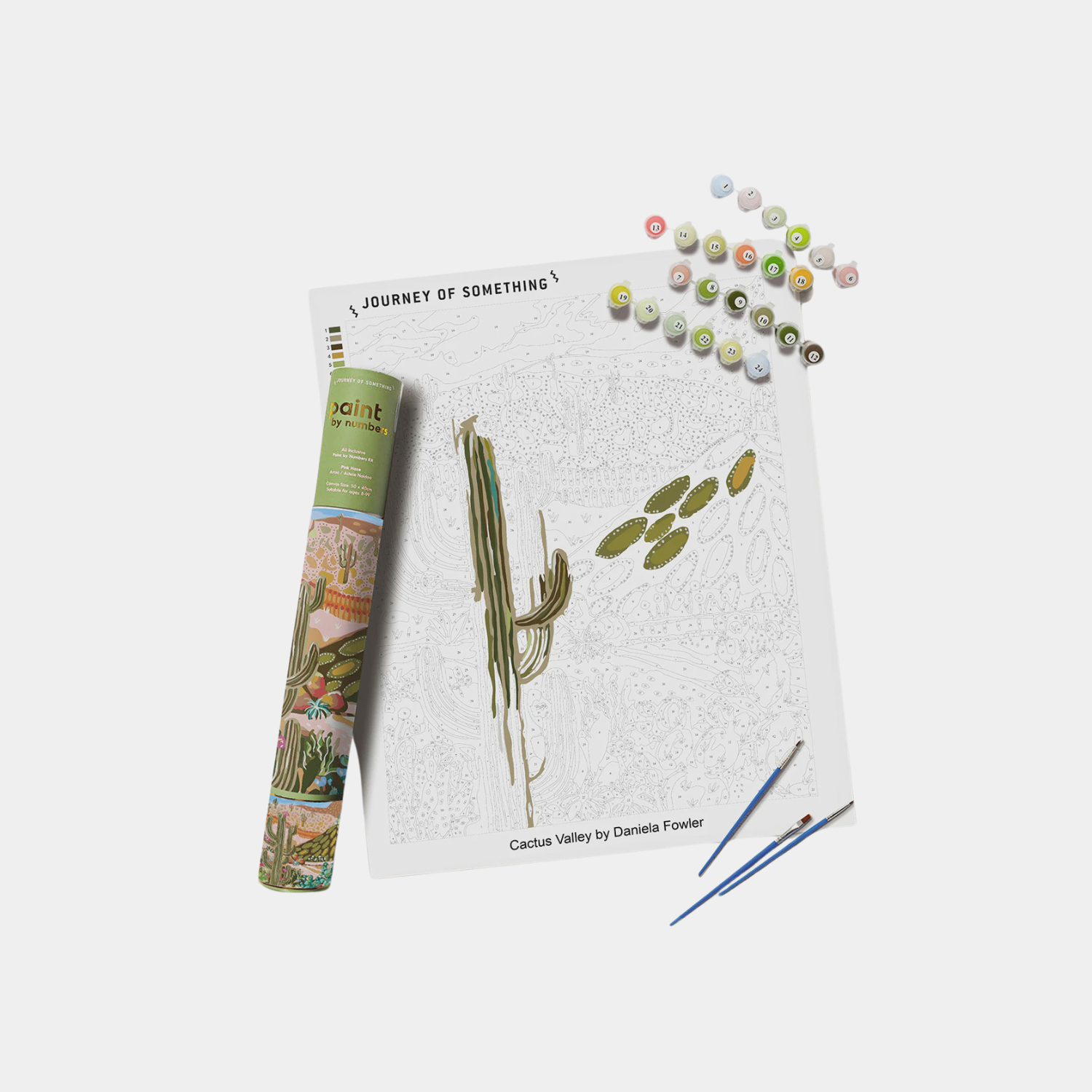 Paint by Numbers - Cactus Valley