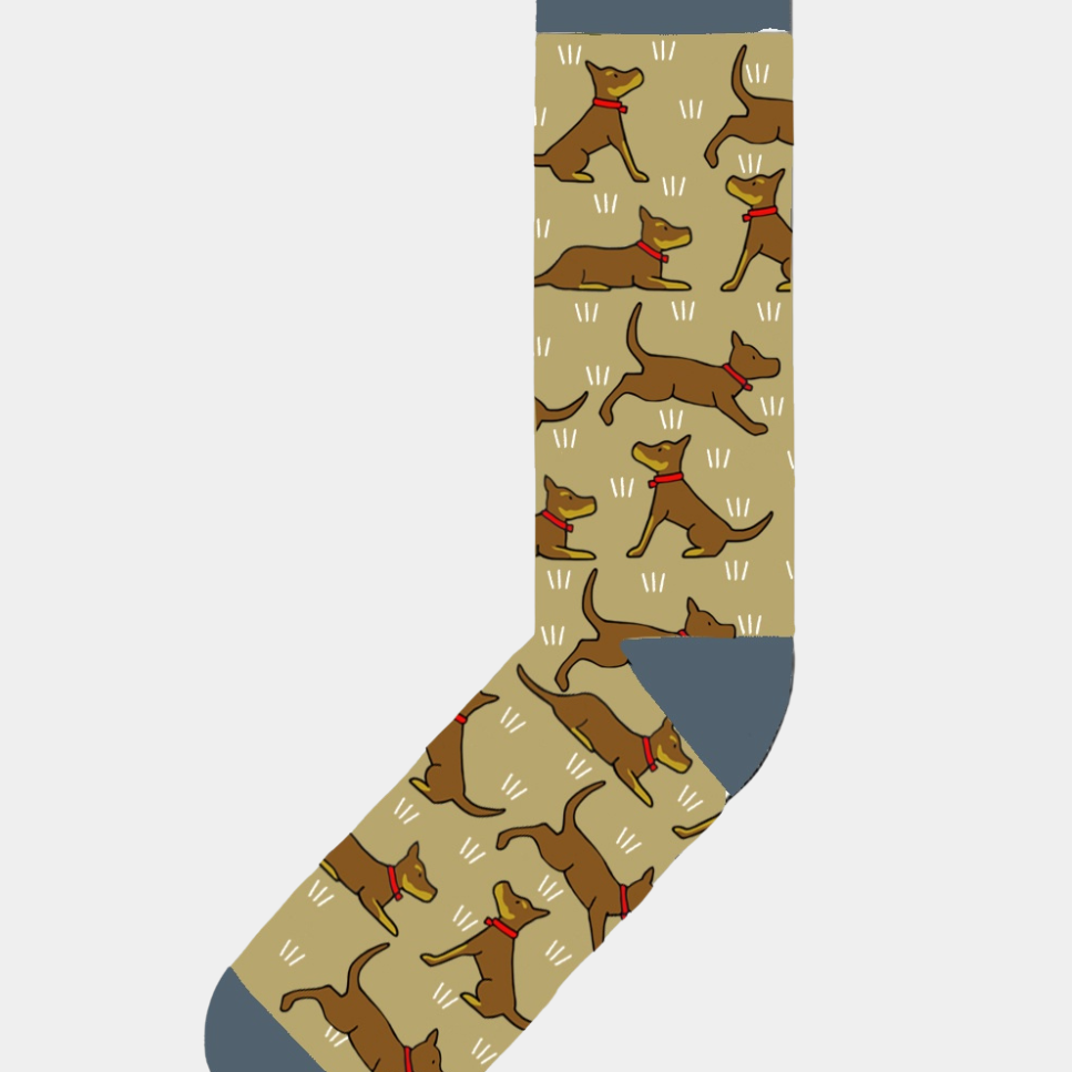 Red Tractor Socks- Red & Tan Kelpies - Presence Hamilton
