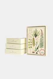 Cavallini Boxed Notecards- Fern