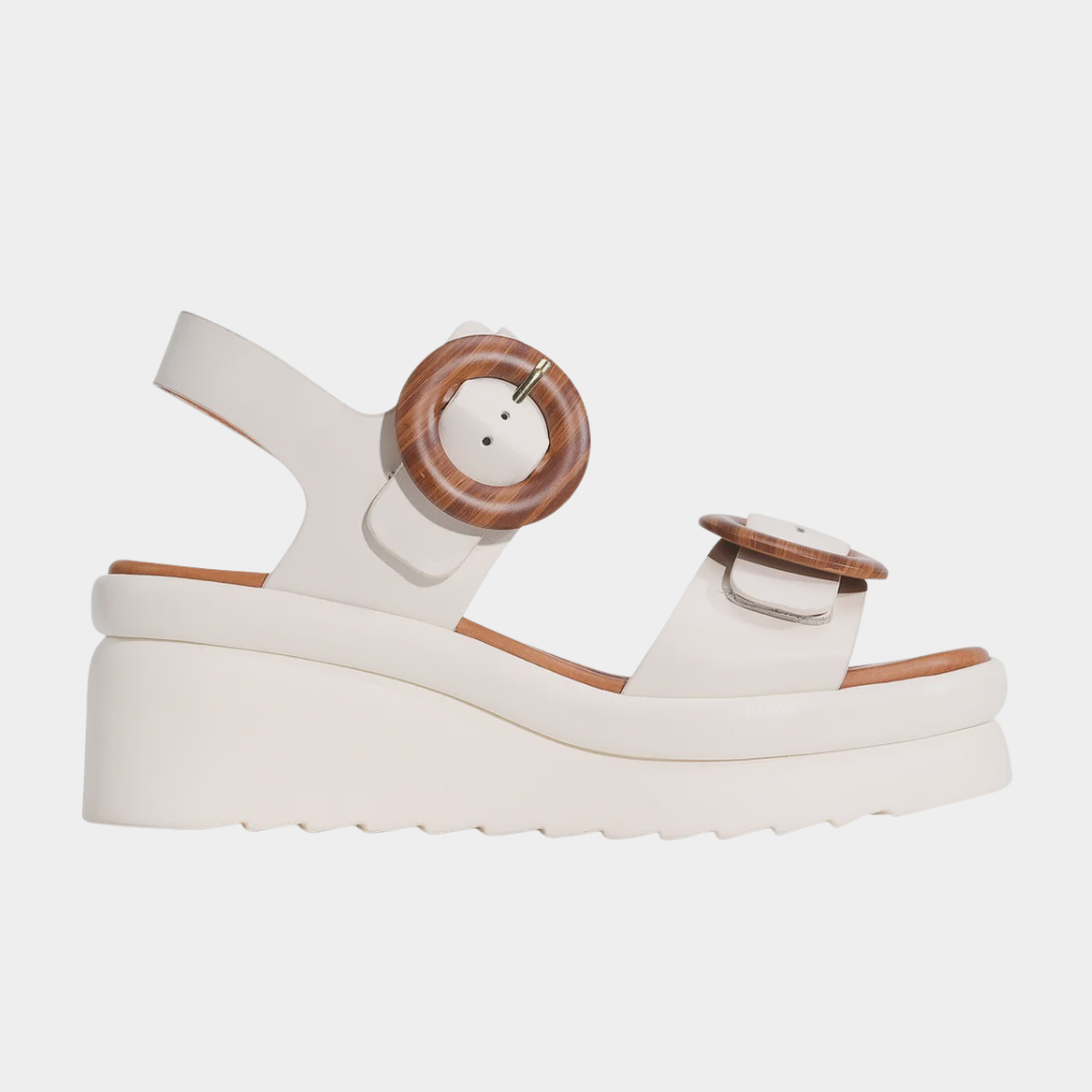 Untitleddesign-2026-09-22T125554.181.png