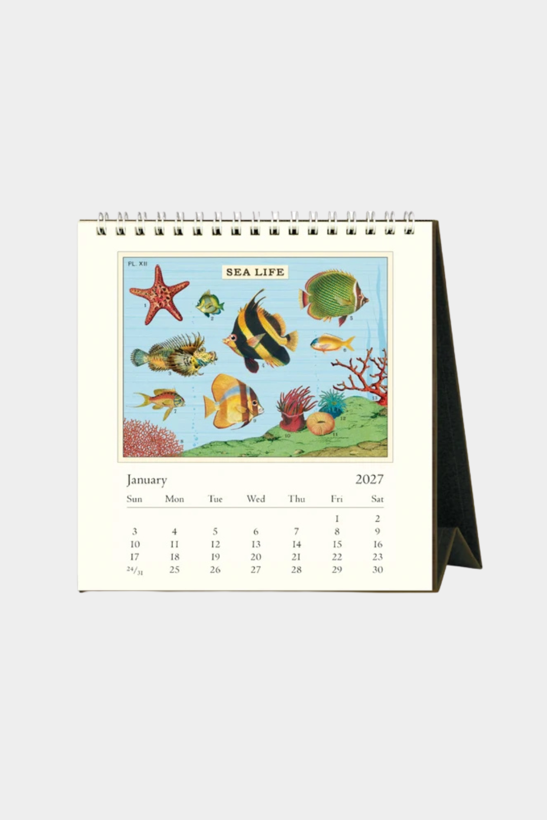 Untitleddesign-2026-09-29T145109.672.png