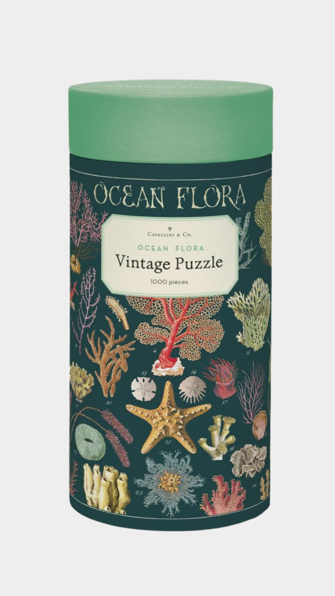 Vintage Puzzle - Ocean Flora - Presence Hamilton