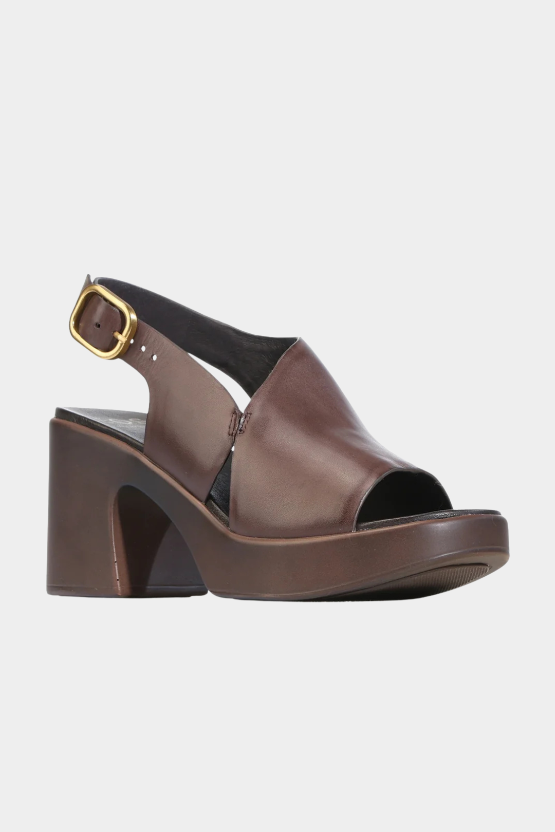 Dolce - Chestnut - Presence Hamilton