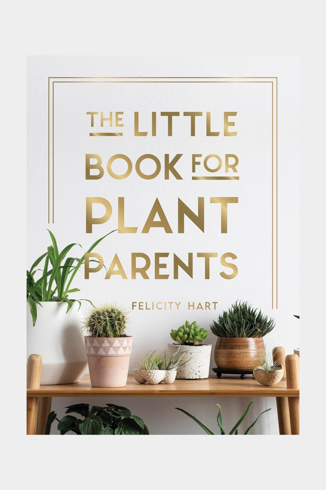 Little Book For Plant Parents - Presence Hamilton