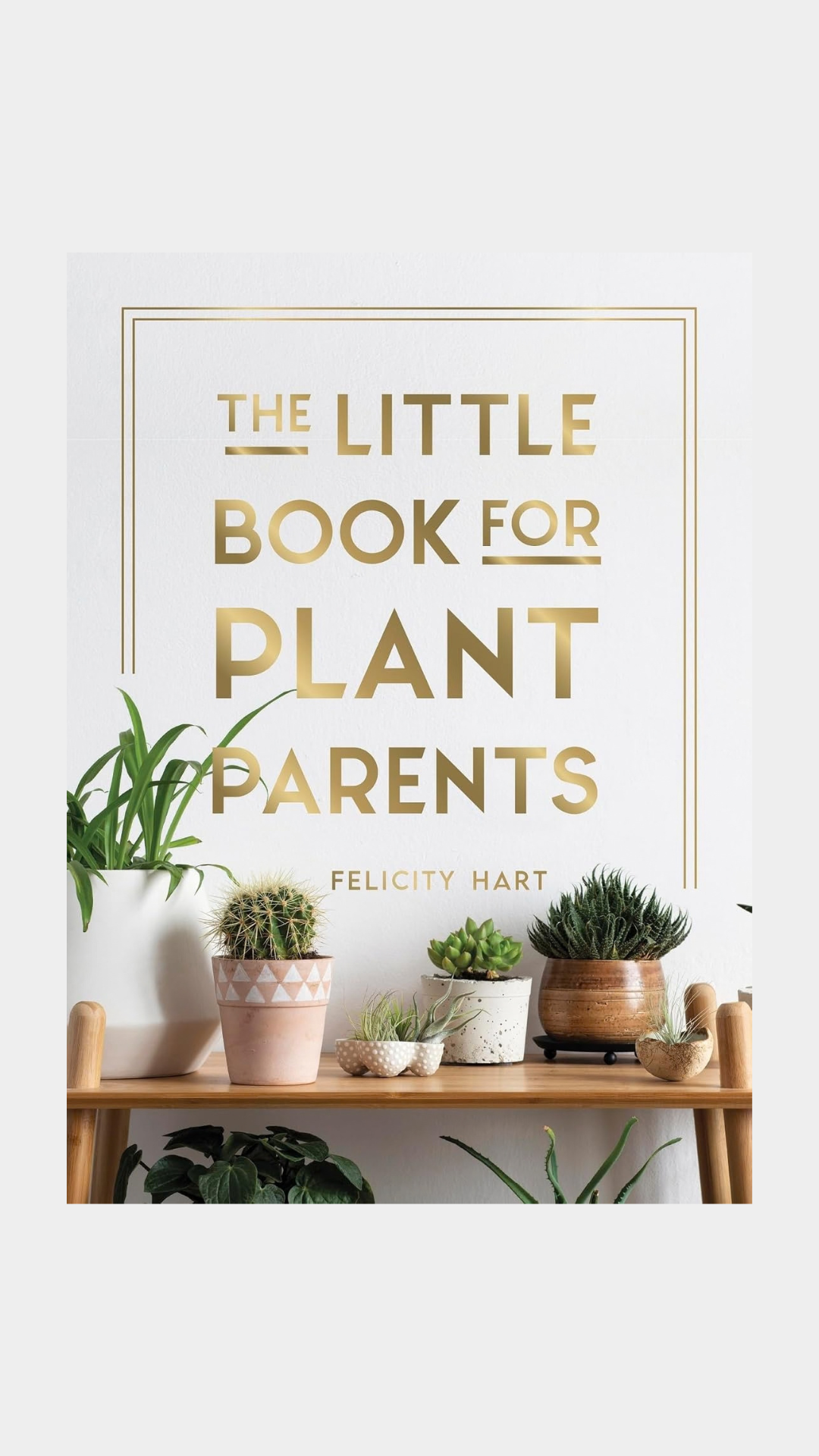 Little Book For Plant Parents