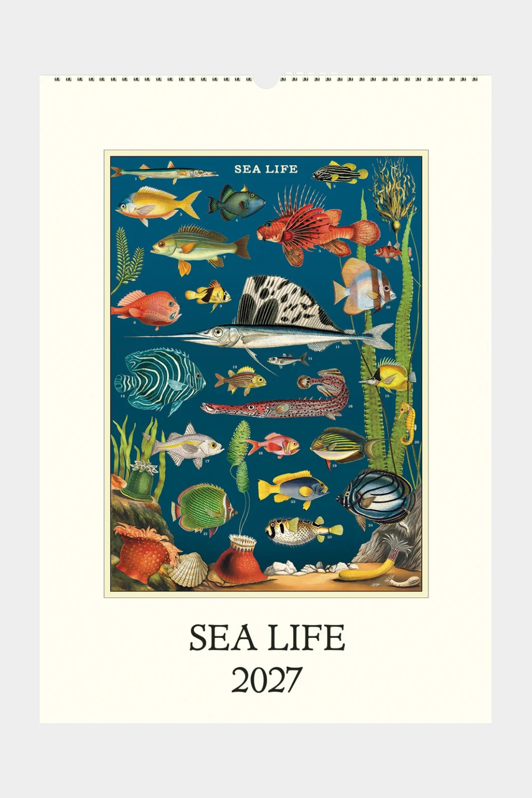 Wall Calendar - Sea Life - Presence Hamilton