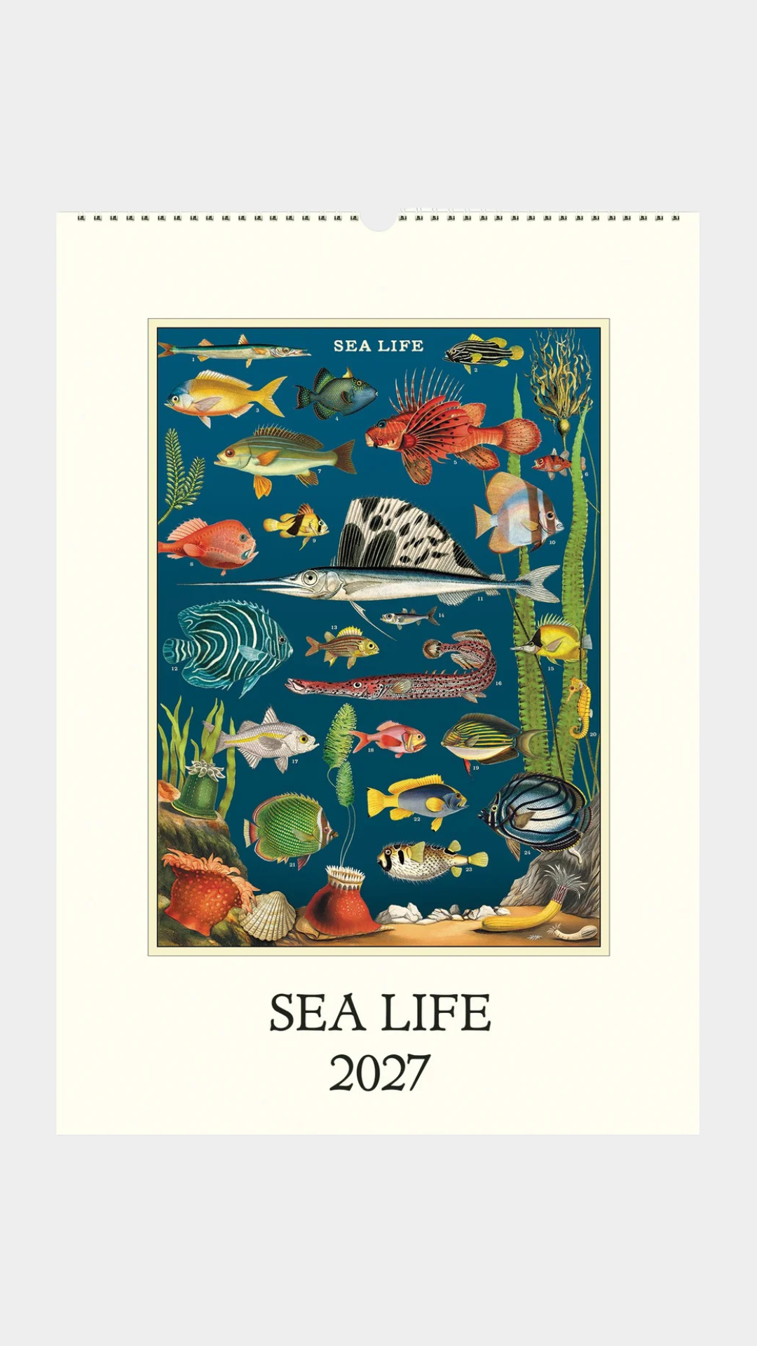 Wall Calendar - Sea Life - Presence Hamilton