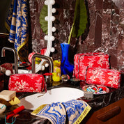 Marta Vanity Bag- Vermillion - Presence Hamilton