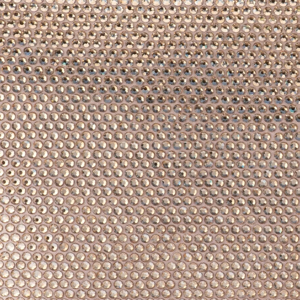 CARA Crystal Envlope Clutch- Champagne