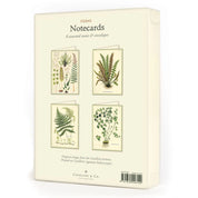 Cavallini Boxed Notecards- Fern