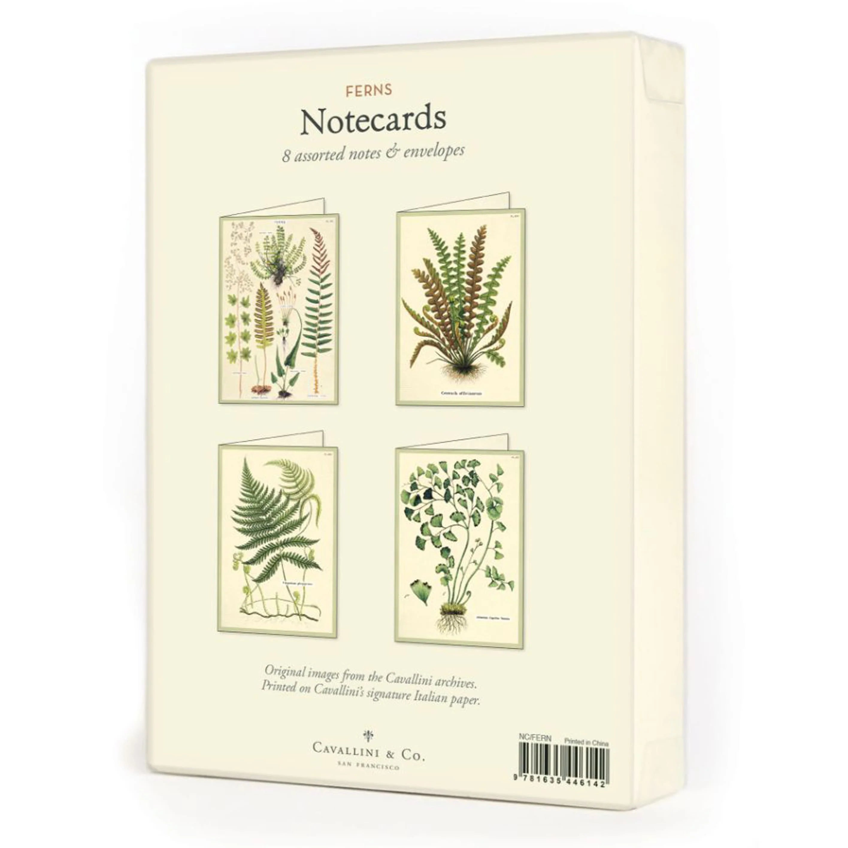 Cavallini Boxed Notecards- Fern