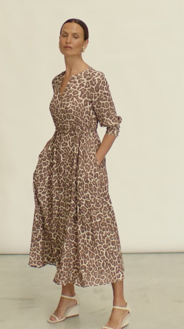 Scene Dress